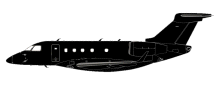Silhouette image of generic E545 model; specific model in this crash may look slightly different