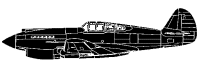 Silhouette image of generic P40 model; specific model in this crash may look slightly different