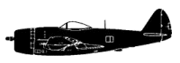 Silhouette image of generic P47 model; specific model in this crash may look slightly different
