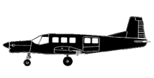 Silhouette image of generic P750 model; specific model in this crash may look slightly different