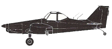 Silhouette image of generic PA36 model; specific model in this crash may look slightly different