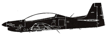 Silhouette image of generic TUCA model; specific model in this crash may look slightly different